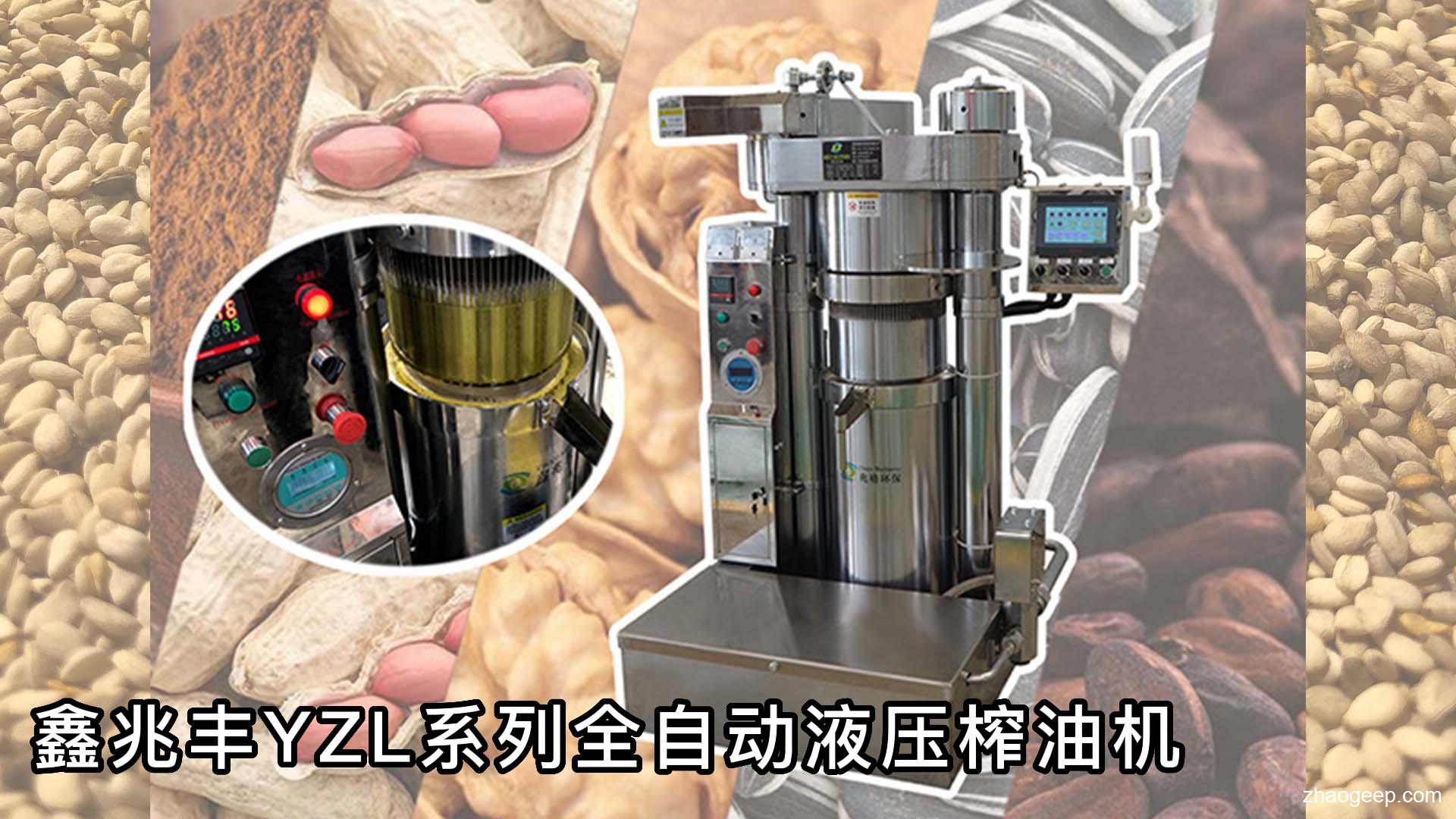 鑫兆豐YZL系列全自動液壓榨油機(jī) 芝麻 花生 核桃 亞麻籽 葵花籽 椰蓉 工廠榨油視頻