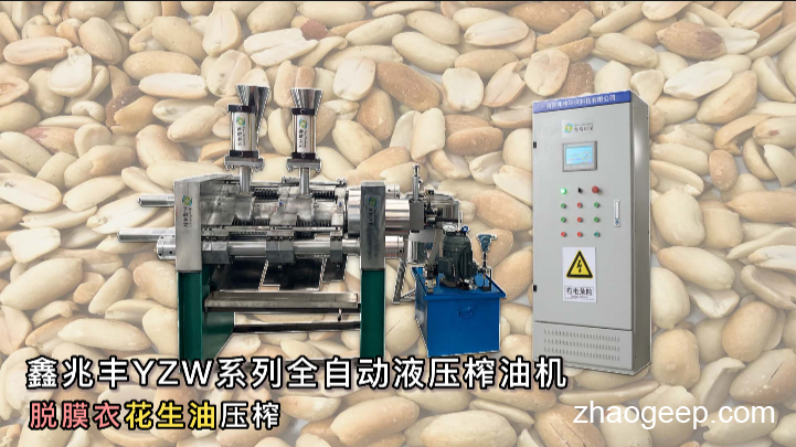 鑫兆豐YZW新型全自動液壓榨油機(jī) 冷榨花生油 