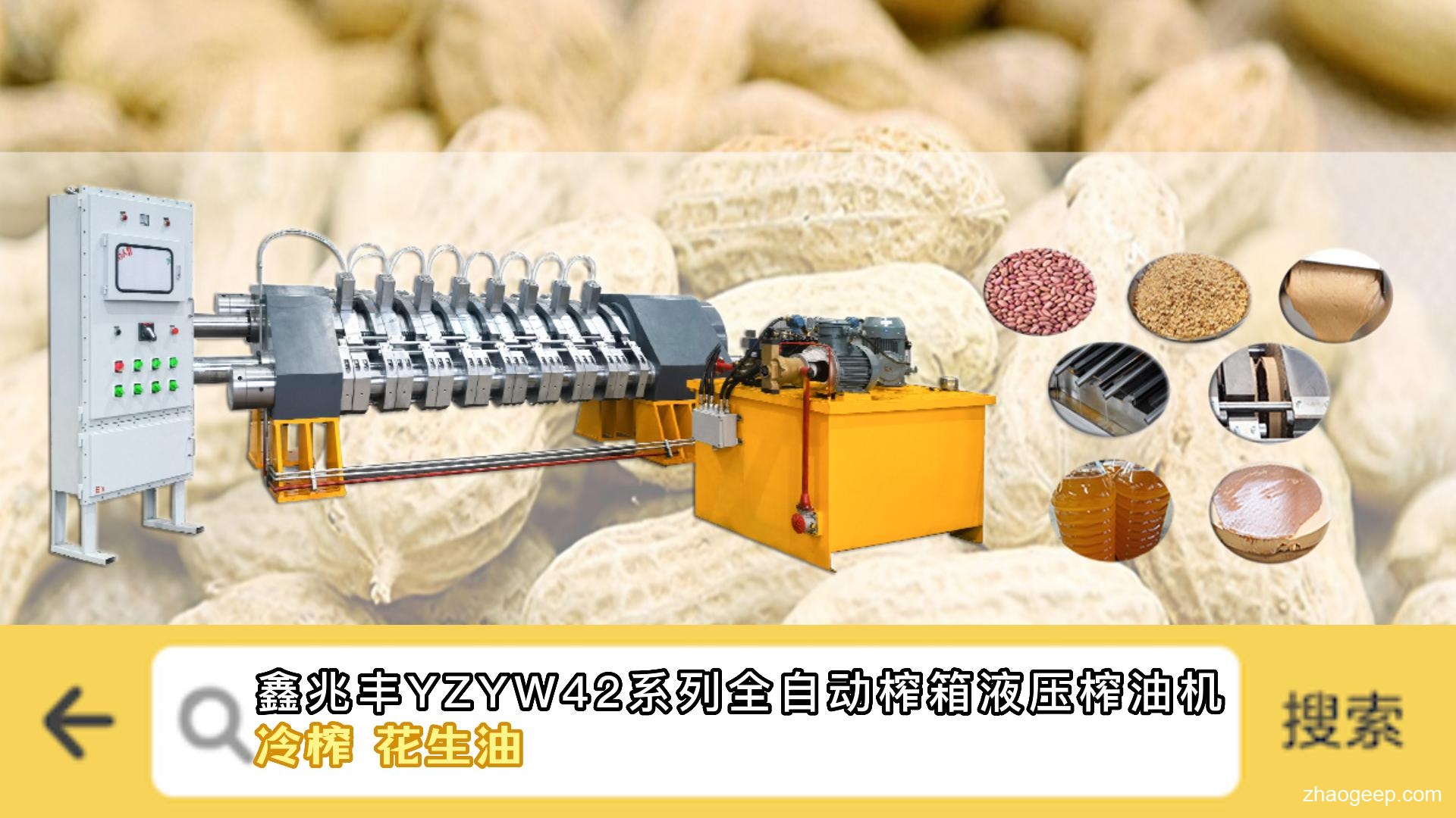 鑫兆豐YZYW全自動液壓榨油機(jī) 冷榨花生油