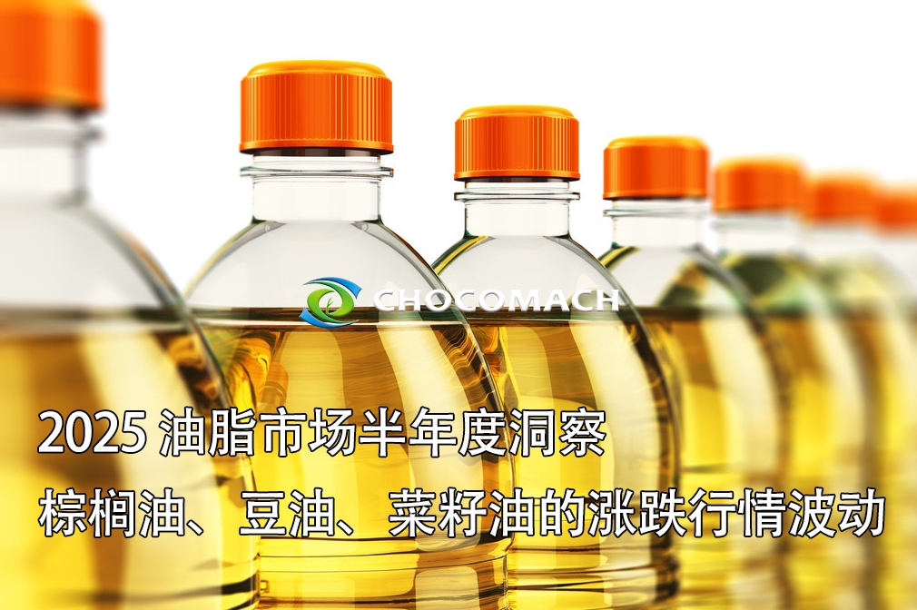2025 油脂市場半年度洞察 | 全球油籽漲跌行情波動(dòng)